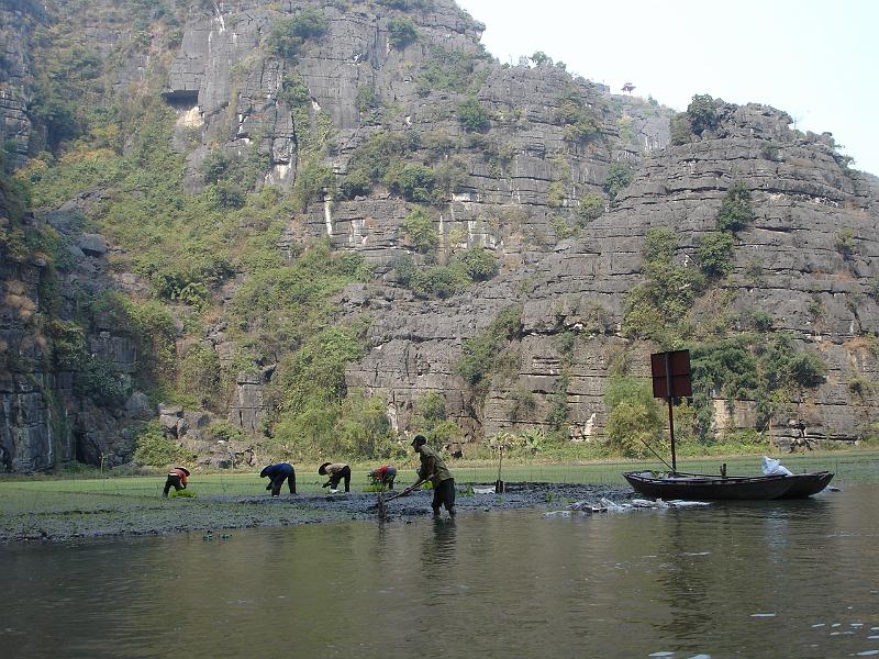 029- Tam Coc- la baie halong terrestre.JPG - Tam Coc- La baie d'Halong terrestre